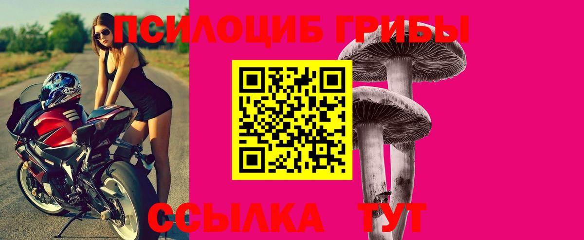 Псилоцибиновые грибы Magic Shrooms Сокол